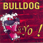 Ser Así by Bulldog