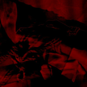 ɤ S P I N N I N H E A D ɤ