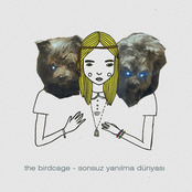 sonsuz yanılma dünyası