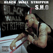 Black Wall Stripper