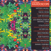 Kaleidoscope: New Spirits Known & Unknown