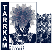 Transcend Massive Culture