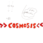 >>Cosmosis<<