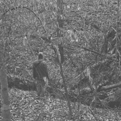 Georgia Is For Lovers