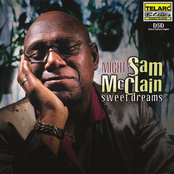 Learn How To Love You Again by Mighty Sam Mcclain