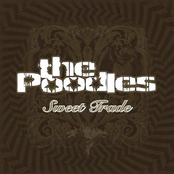 Heaven's Closing In by The Poodles