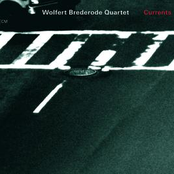 Common Fields by Wolfert Brederode Quartet