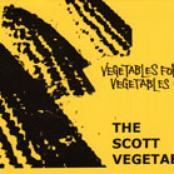 Vegetables For All, Vegetables For...