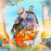 Verão do Gato Preto