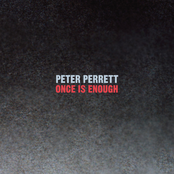 Peter Perrett: Once Is Enough