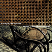 Pixinguinha de bolso