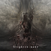 Terranoct: Blighted Body