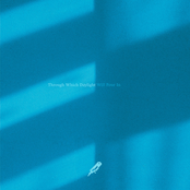 Through Which Daylight Will Pour In