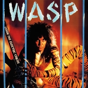 Sweet Cheetah by W.a.s.p.