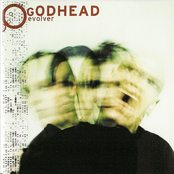 The Hate In Me by Godhead