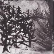 Vol. I: Enculturation