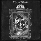 Widow's Weeds - Revenant
