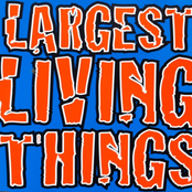 Largest Living Things