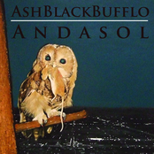 A Little Parenthesis Of Good Times by Ash Black Bufflo