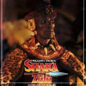 The Death Of Shaka by Dave Pollecutt