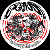 Sopa de Cabeça de Bagre