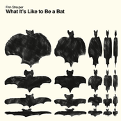 What It's Like to Be a Bat