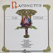 Folk Celtique Vol 2