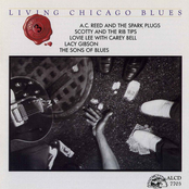 Living Chicago Blues Vol. III