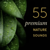 55 Premium Nature Sounds: Most Popular Nature Sound Effects On Earth
