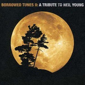 Borrowed Tunes II: A Tribute to Neil Young