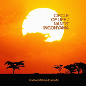 Circle of Life / Nants' Ingonyama (From "The Lion King" 2019 Motion Picture Soundtrack) - Single