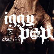 Skull Ring by Iggy Pop