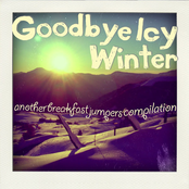 Goodbye Icy Winter