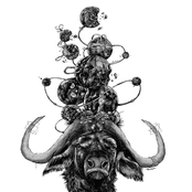 Sobre Mares y Volcanes