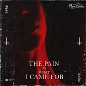 The Pain Is What I Came For