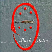 Beauty Lies by Bush Tetras