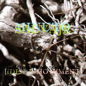 Revolutinobious [Idea & Movement]