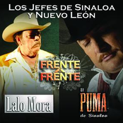 El Puma De Sinaloa: Frente A Frente 