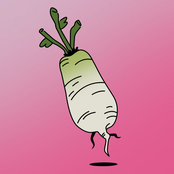 Daikon