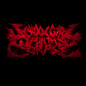 Demo 2015