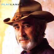 Silver Turns To Gold by Don Williams