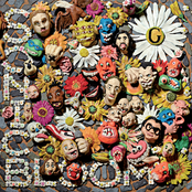 Sonic Bloom