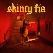 Fontaines D.C. - Skinty Fia Artwork