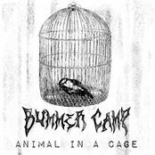 Animal In A Cage