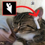 big booty hoe [belated birthday spesh]