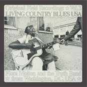 Living Country Blues USA, Vol. 3