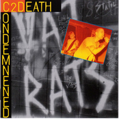 You Can't Kill A Vatrat