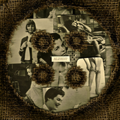 BURLAP