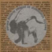 ponure historie zmagań ze stabilizacją zyciową (2001)