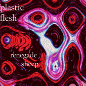 renegade sheep